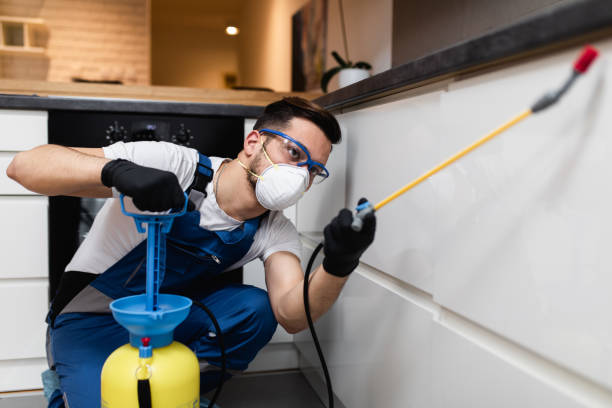Best Mosquito Control Services  in Adwolf, VA