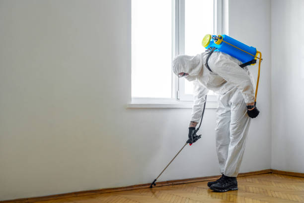 Best Pest Prevention Services  in Adwolf, VA
