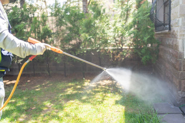 Bird Control in Adwolf, VA