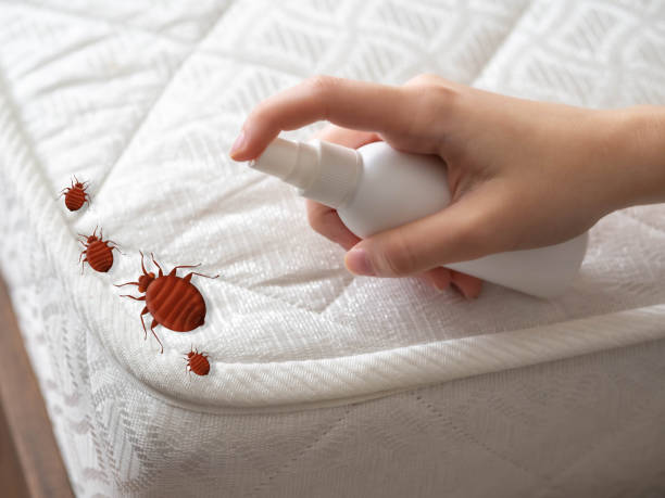 Best Best Pest Control Companies  in Adwolf, VA